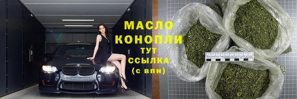 хмурый Аркадак