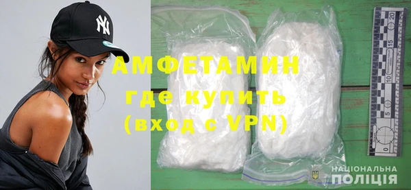 хмурый Аркадак