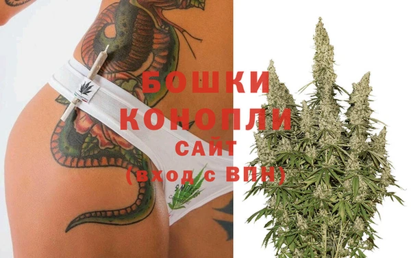 spice Арсеньев