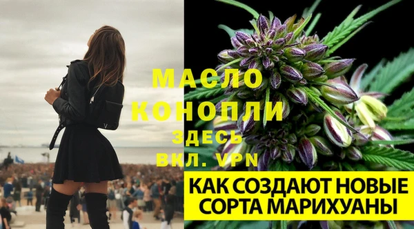 марихуана Армянск