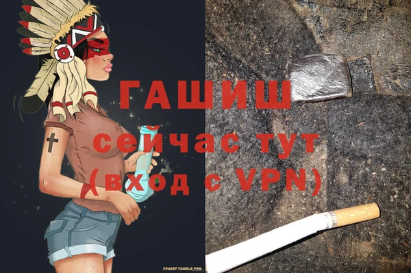 хмурый Аркадак
