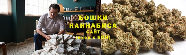 хмурый Аркадак