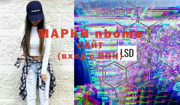 хмурый Аркадак