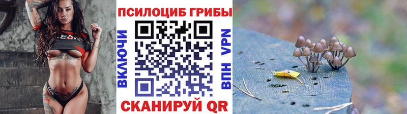 Псилоцибиновые грибы мухоморы  мориарти наркотические препараты  Тетюши  закладка 
